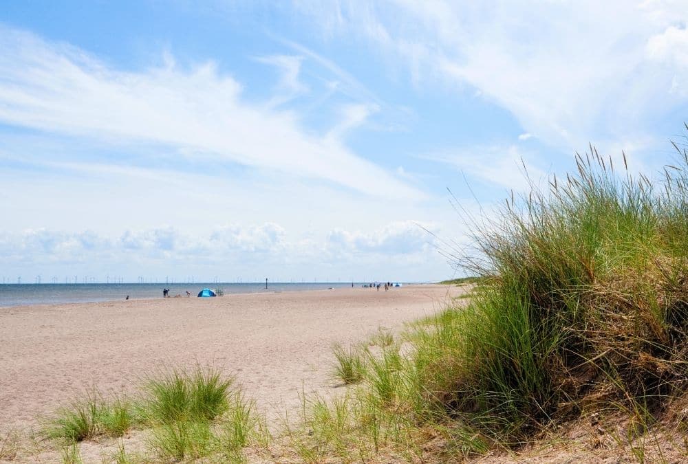 Quiet coastal scenery at Anderby Creek dog friendly beach