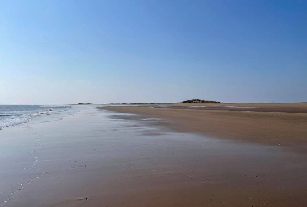 Huttoft Beach Moggs Eye dog friendly beach on the Lincolnshire coast