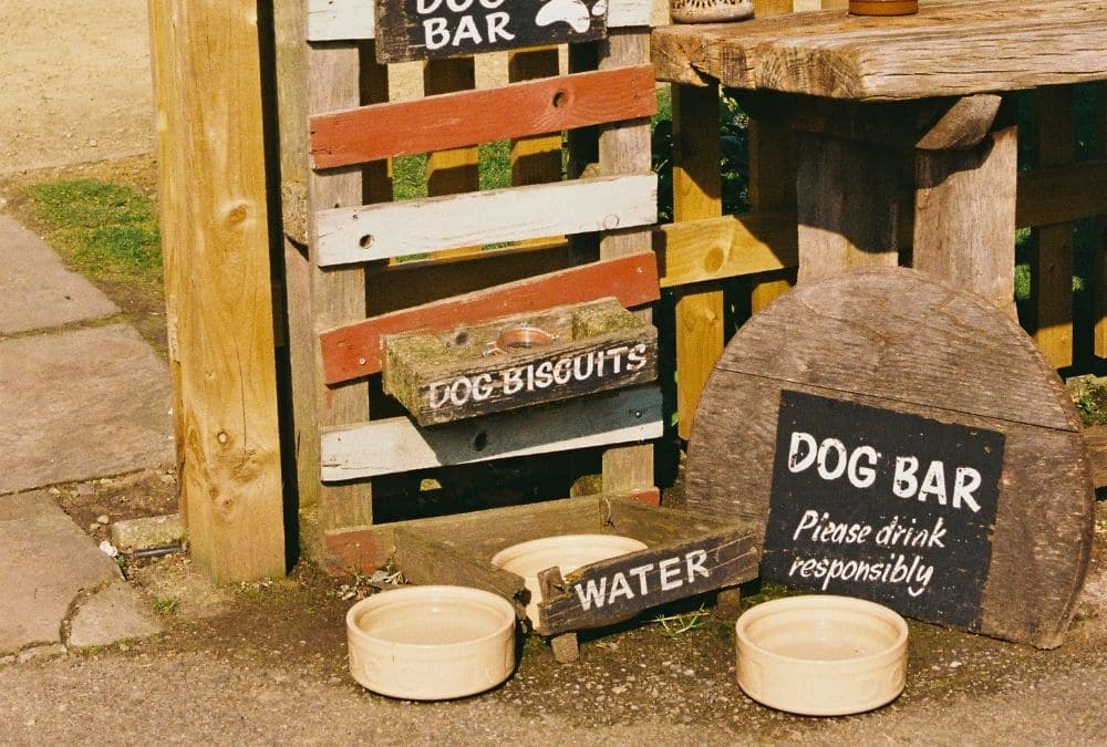Dog water bowls and biscuits outside a dog friendly cafe, a common sight in Skegness
