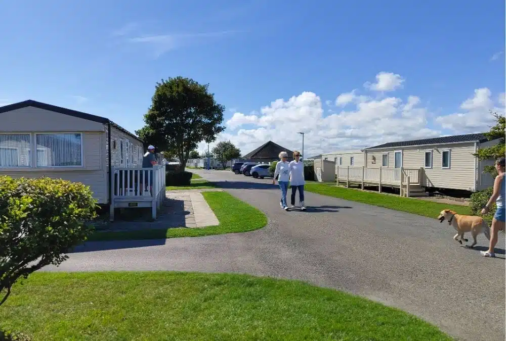 Dog being walked at Kingfisher Caravan Park, the perfect base for visiting dog friendly pubs in Skegness