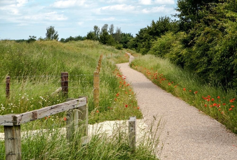Scenic countryside walk near a holiday park showing outdoor lifestyle benefits