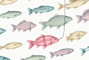 Illustration showing common freshwater fish species found in fishing lakes near Skegness, Lincolnshire.