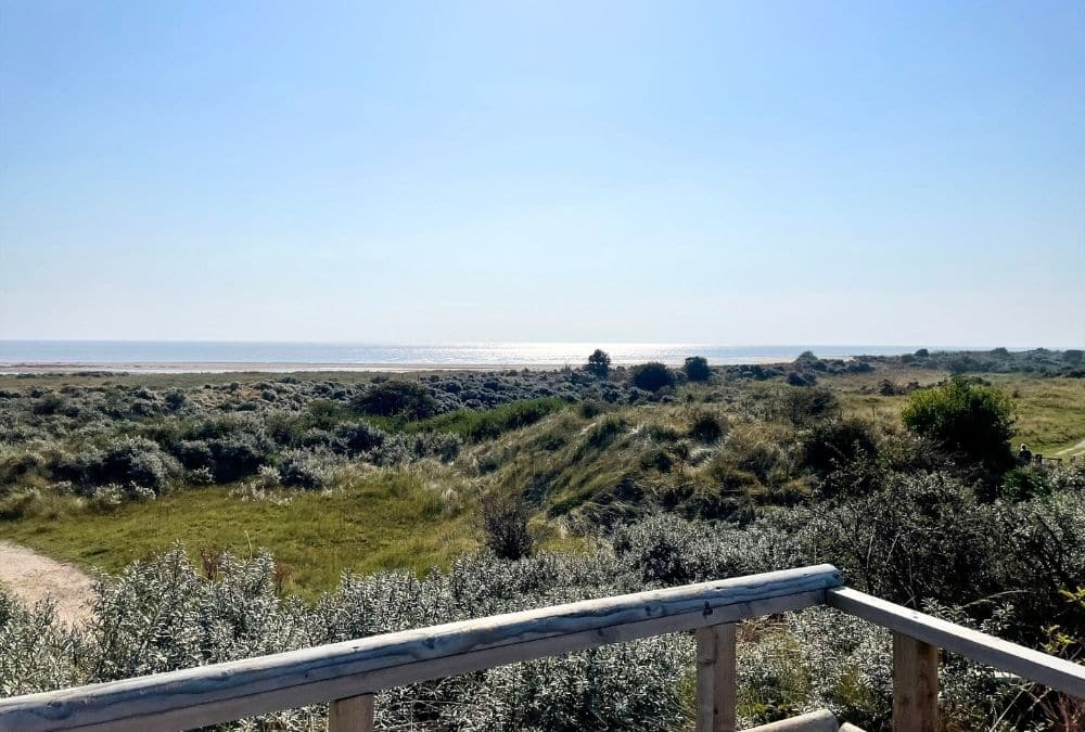 Scenic view of Gibraltar Point Skegness with sand dunes, coastal grassland and the North Sea in the distance