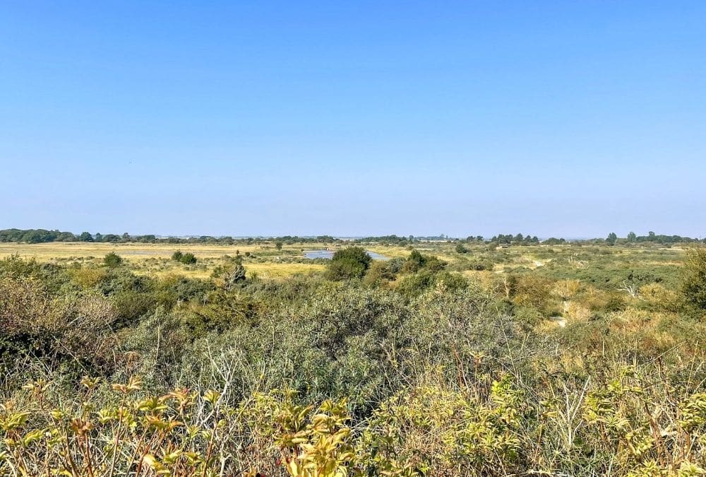 Wide landscape of Gibraltar Point Skegness Nature Reserve showing marshes, lagoons and open countryside near Skegness
