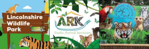 Lincolnshire Zoo