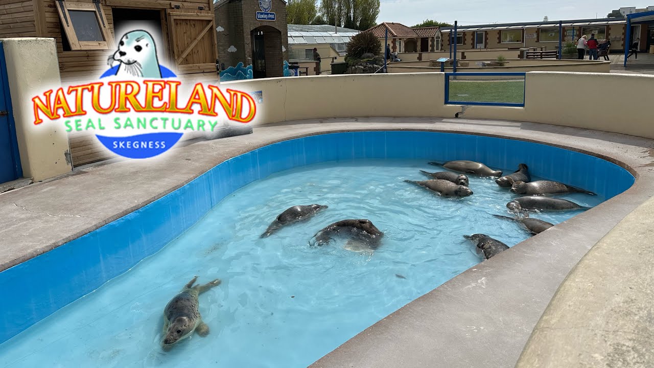 Natureland Seal Sanctuary Skegness Visitor Guide Tips Natureland Seal Sanctuary Skegness Visitor Guide Tips