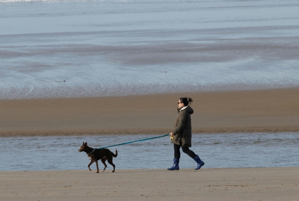 Dog walker enjoying the wide, uncrowded sand at Huttoft Beach, Lincolnshire