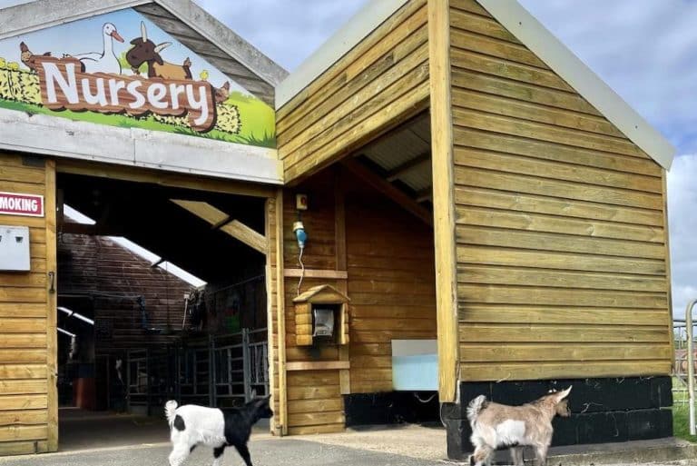 Hardy's Animal Farm Ingoldmells