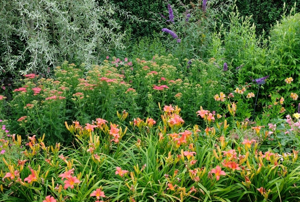 Flower beds in Tower Gardens, a free park in Skegness