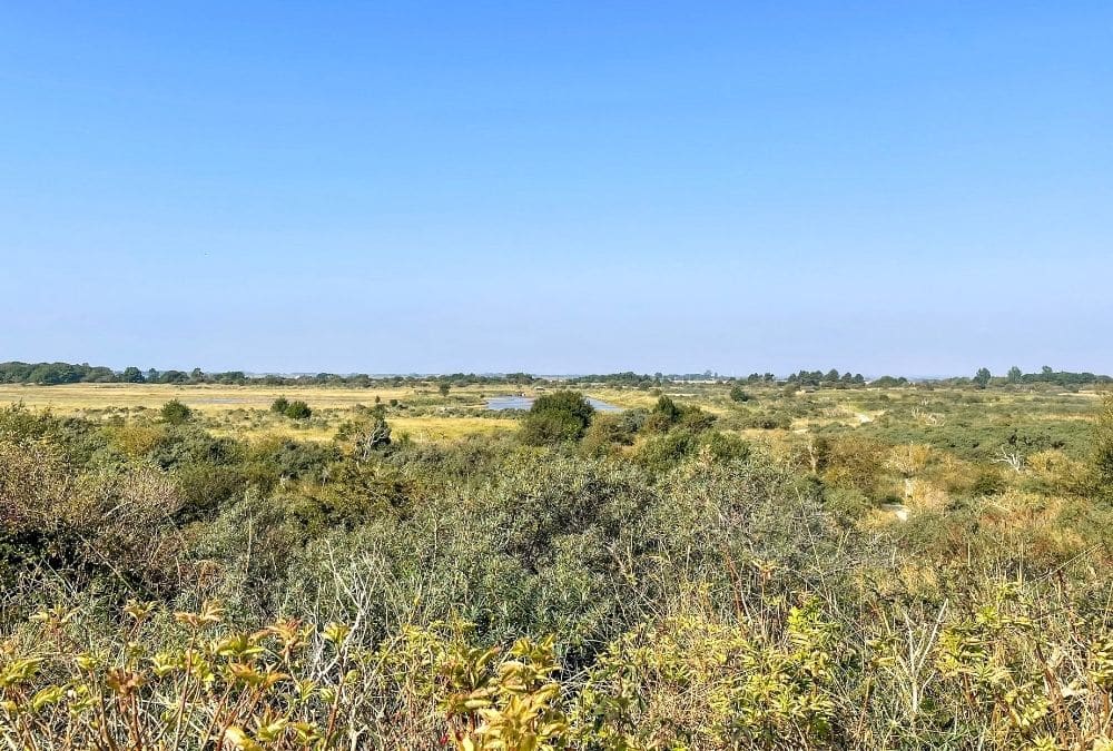 Gibraltar Point Nature Reserve landscape near Skegness with dunes and wildlife, a peaceful outdoor thing to do in Skegness