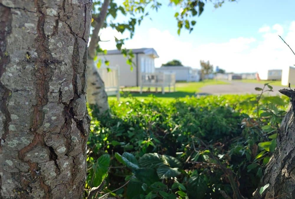 Caravans at Kingfisher Caravan Park near Skegness, ideal accommodation for exploring things to do in Skegness