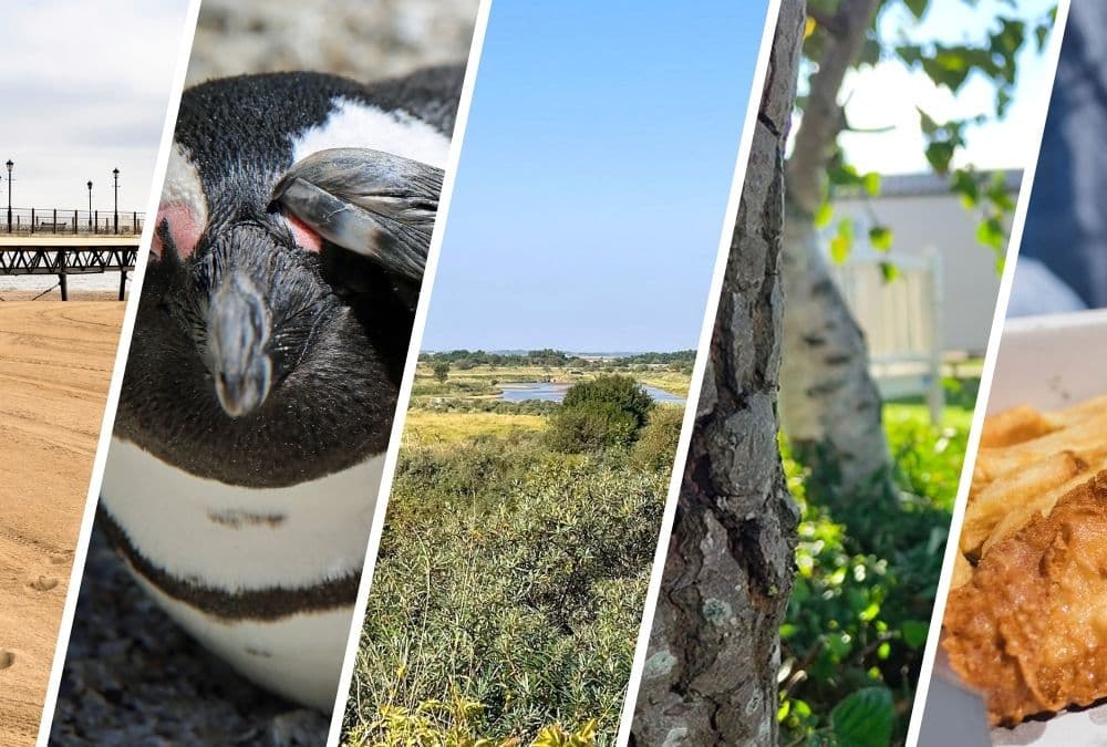 Things to do in Skegness collage featuring beach, penguins at Natureland, Gibraltar Point nature reserve, caravan park, and fish and chips
