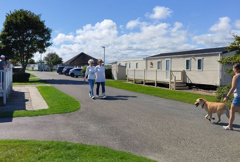 Dog walking through Kingfisher Caravan Park in Ingoldmells