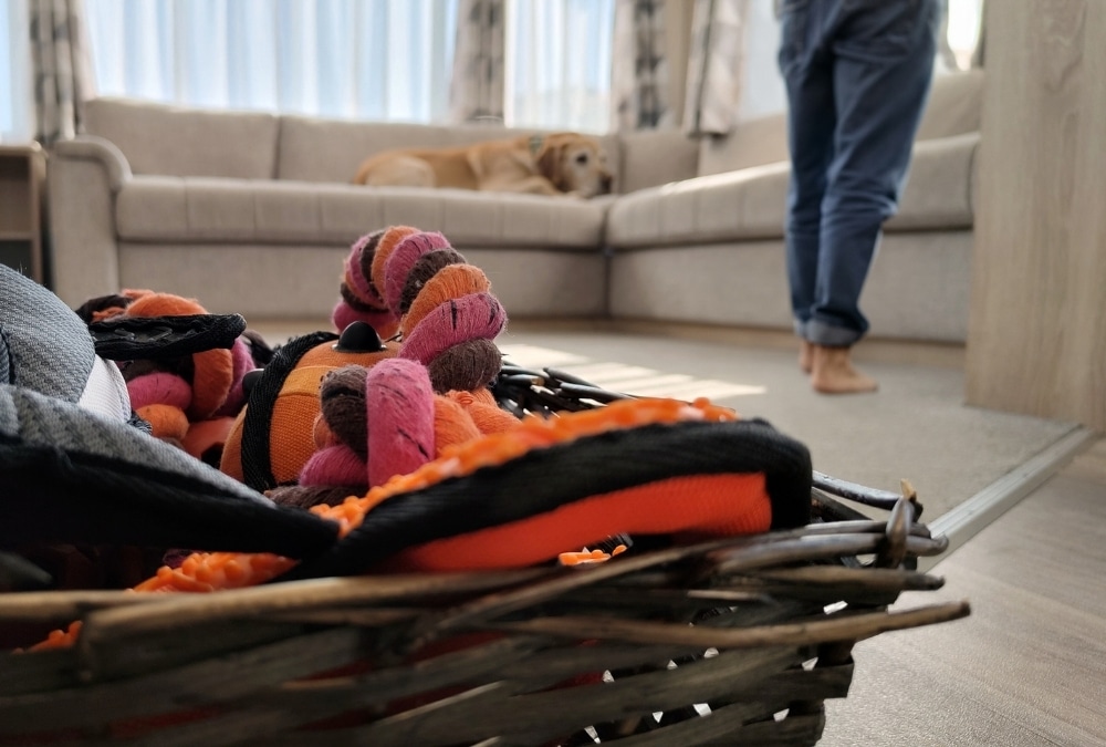 Interior of a pet-friendly holiday caravan in Ingoldmells, with a comfortable living area and a dog relaxing on the sofa.