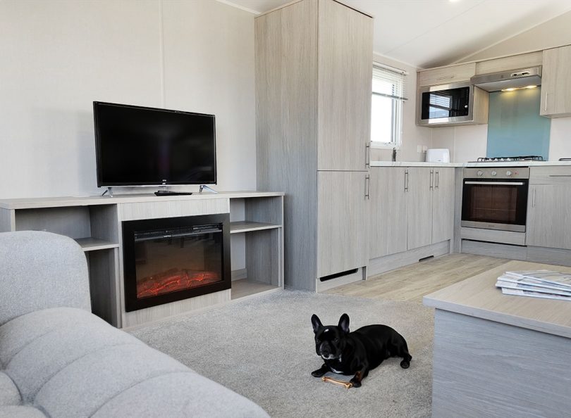 Living Room to Kitchen + Dog