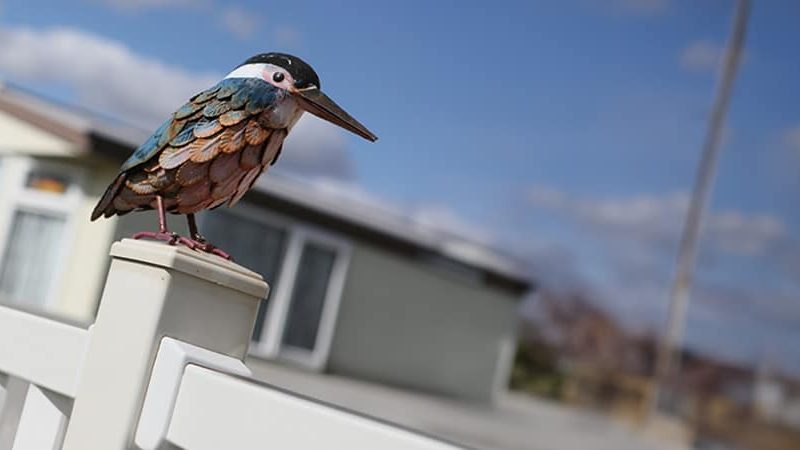 kingfisher-caravan-park.jpg