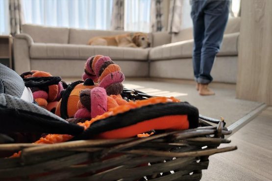 Basket of dog toys in the living room with a relaxed dog lying on the sofa, a female in the background, highlighting the pet-friendly nature of the Premium Pet-Friendly 2 Bedroom Caravan.